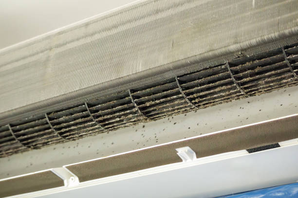 Best Residential Air Duct Cleaning  in Fivepointville, PA